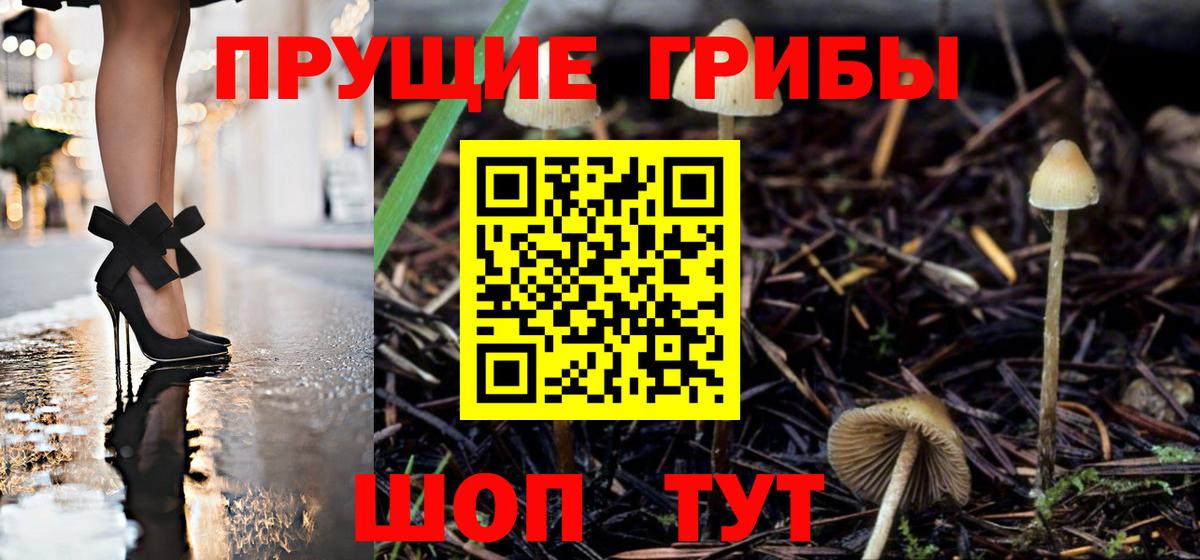 Псилоцибиновые грибы GOLDEN TEACHER Дзержинск