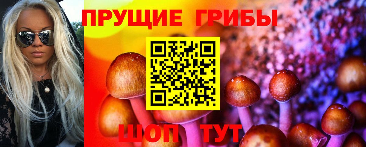 Дзержинск  Псилоцибиновые грибы MAGIC MUSHROOMS  что такое   Вход с VPN 